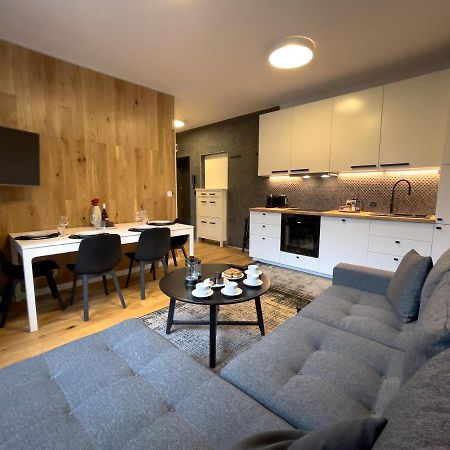 Urban Apartments Premium No 3, Free Private Parking, Self Check-In Chorzów Exterior foto
